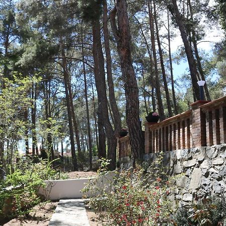 Semiramis Lodge Platres Eksteriør billede