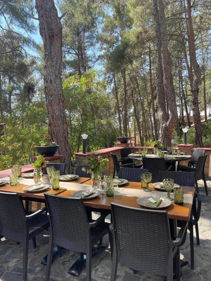 Semiramis Lodge Platres Eksteriør billede