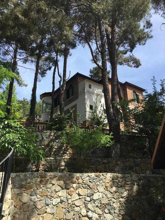 Semiramis Lodge Platres Eksteriør billede